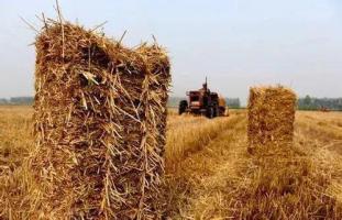 哈爾濱將建200處2兆瓦秸稈沼氣項(xiàng)目