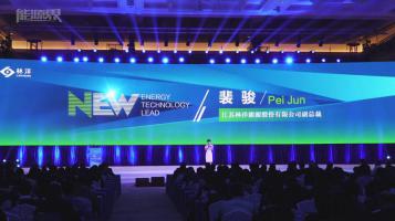 裴駿：林洋能源N型單晶雙面高效系列產品及N+Solution系統解決方案全方位介紹視頻