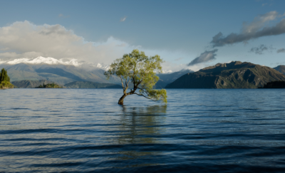 23個國家簽署承諾，加強氣候變化行動