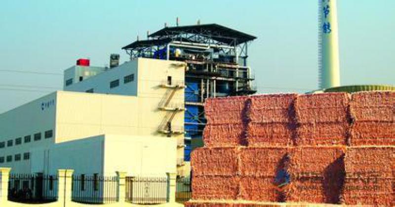 郭云高：失去“電價(jià)補(bǔ)貼” 生物質(zhì)和燃煤耦合生物質(zhì)發(fā)電該如何發(fā)展？