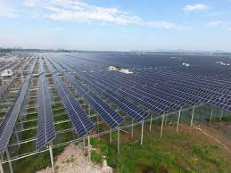 平圩發電光伏項目2018年累計發電突破1億千瓦時