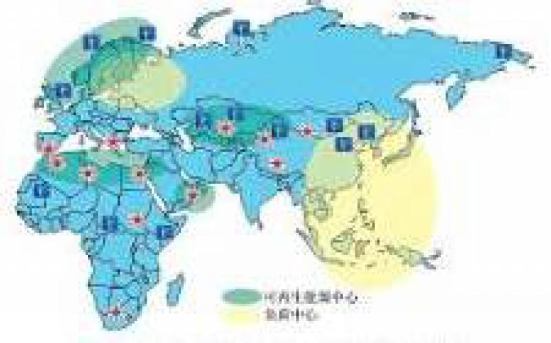 加快亞非能源互聯網建設 推動清潔能源開發利用
