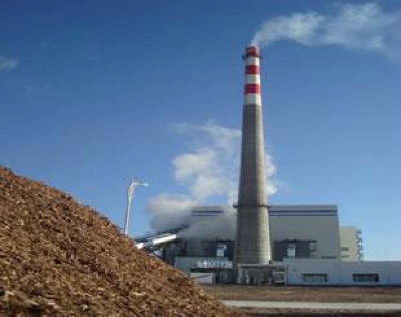 生物質(zhì)發(fā)電去補(bǔ)貼或快于預(yù)期