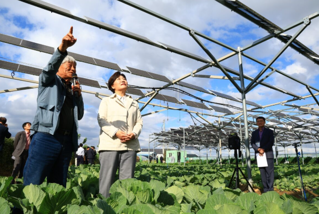 韓國推進(jìn)農(nóng)業(yè)光伏項(xiàng)目法案制定與產(chǎn)業(yè)部署