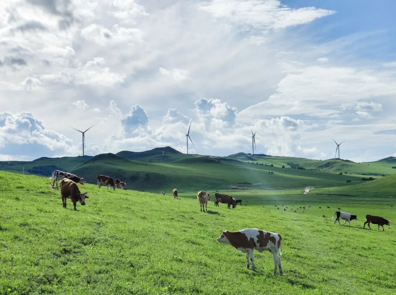 中廣核國內風電、光伏等新能源在運裝機突破7000萬千瓦