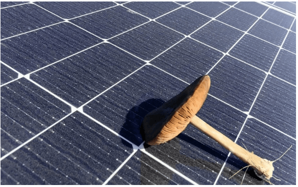 房地產(chǎn)集團(tuán)在加州規(guī)劃700兆瓦太陽(yáng)能園區(qū)與電池儲(chǔ)能項(xiàng)目