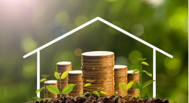 尼日利亞中小企業(yè)可再生能源保險推出 助力清潔能源轉型